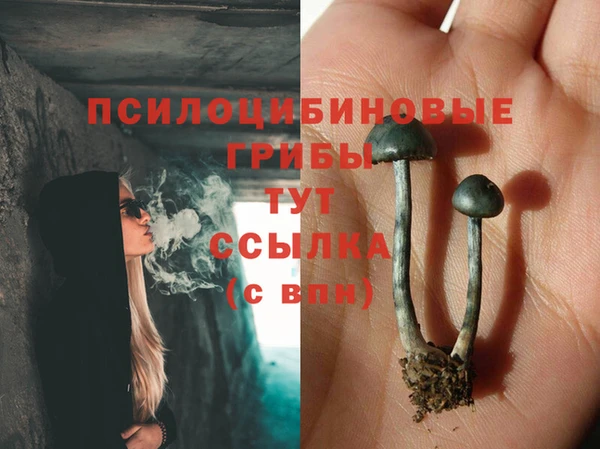 гидра Арсеньев