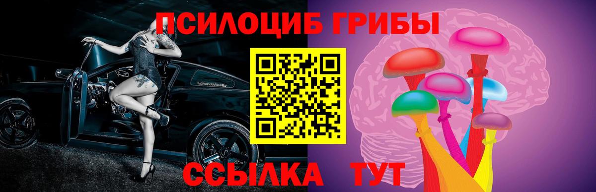 Коломна  Псилоцибиновые грибы Psilocybe  Вход с VPN 