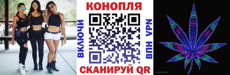 Каннабис OG Kush Коломна